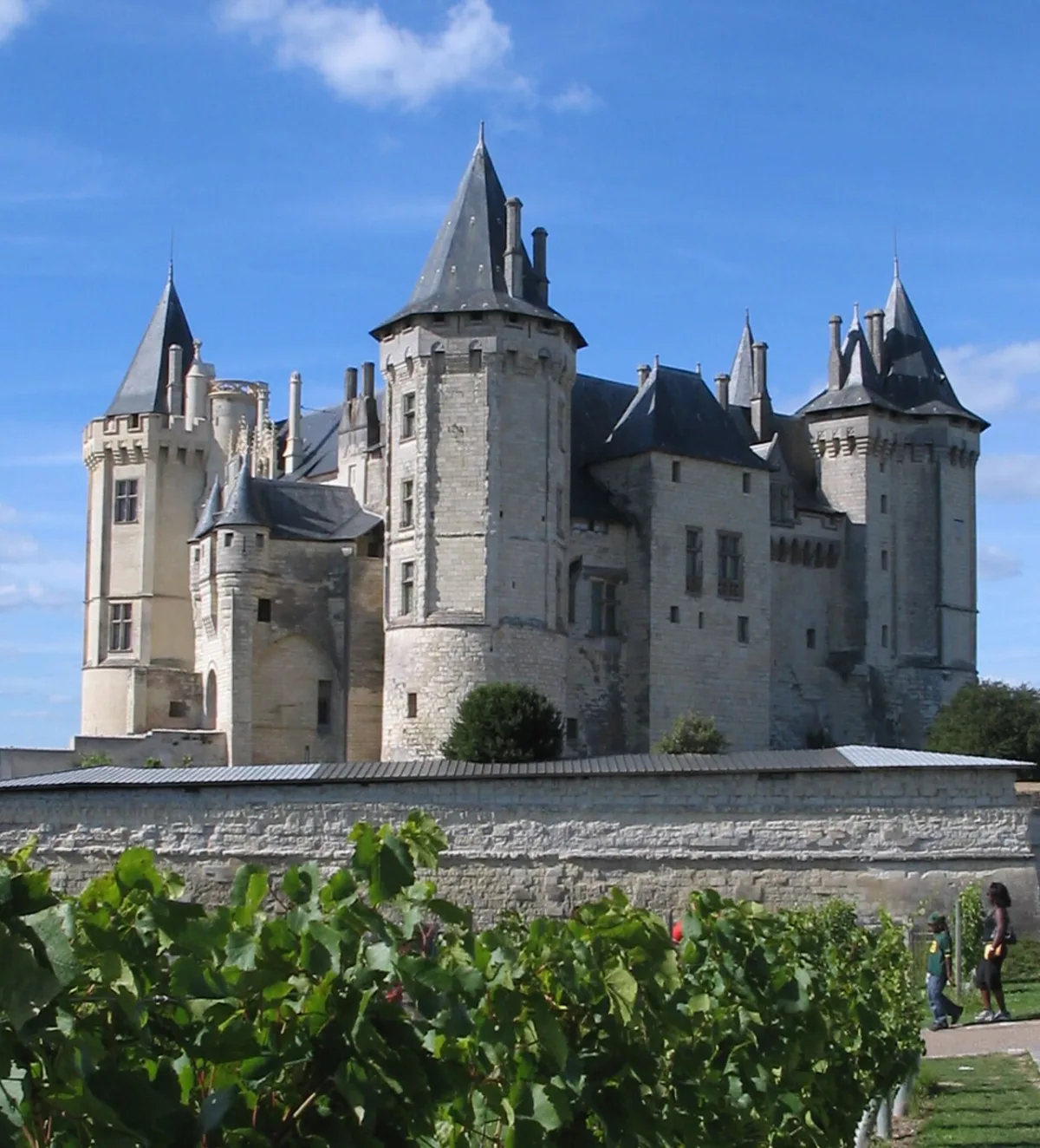 Photo de Château de Saumur