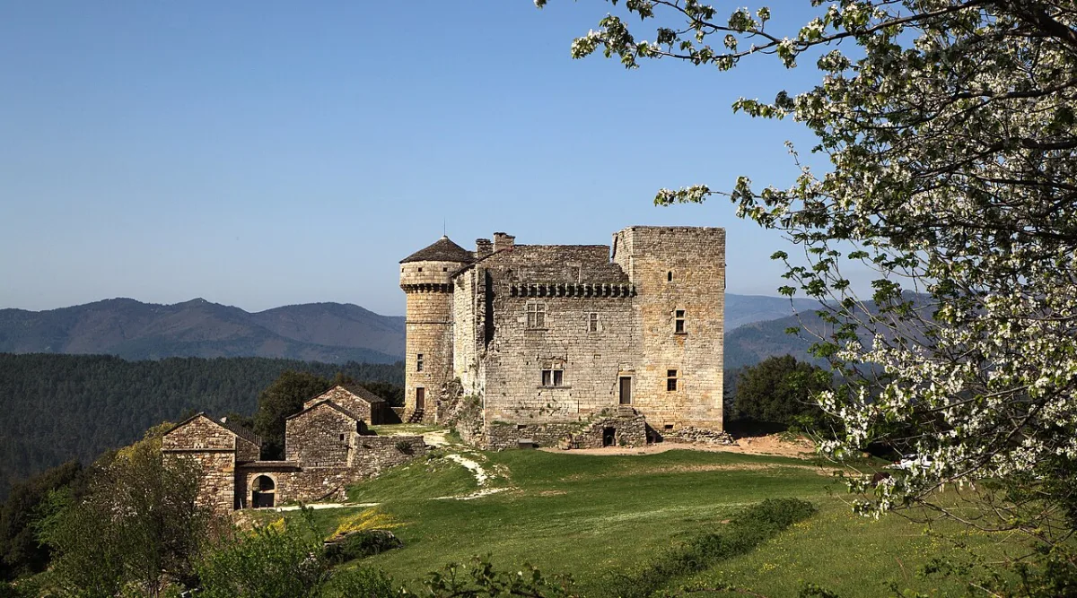 Photo de Château du Cheylard d’Aujac