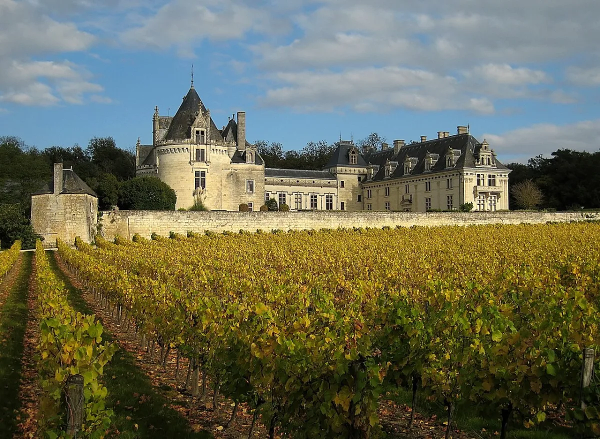 Château de Brézé fotoğrafı