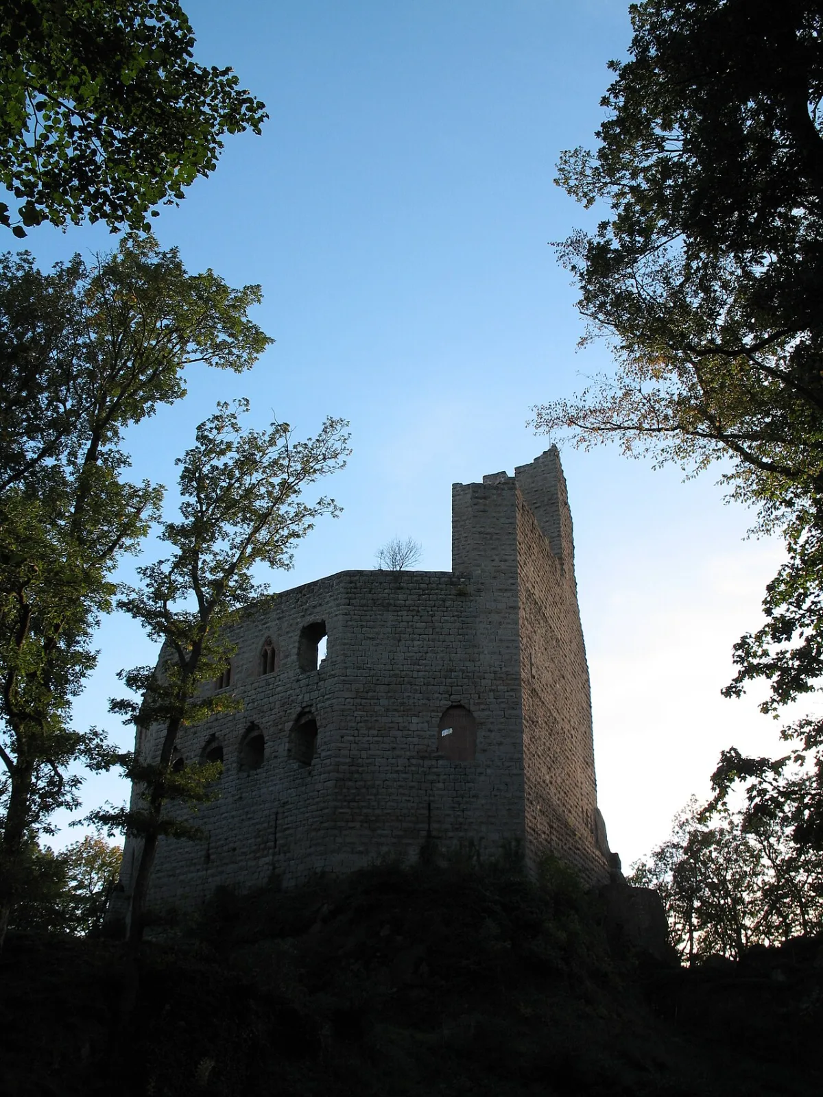 Fotografia de Château de Spesbourg