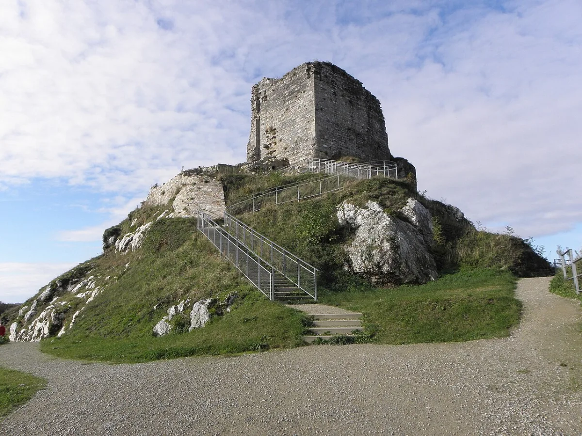 Foto von Château de La Roche-Maurice