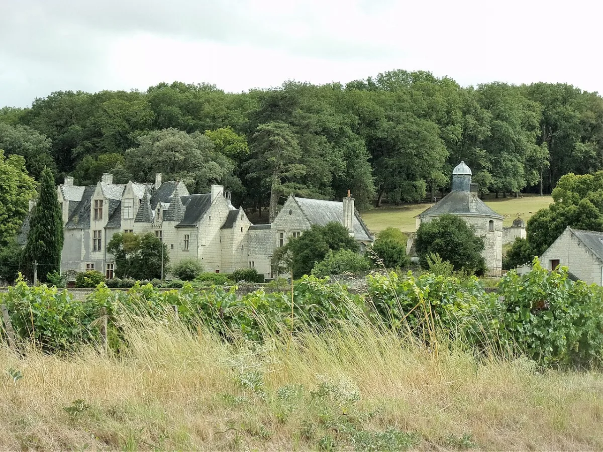 Château de la Vauguyon 사진