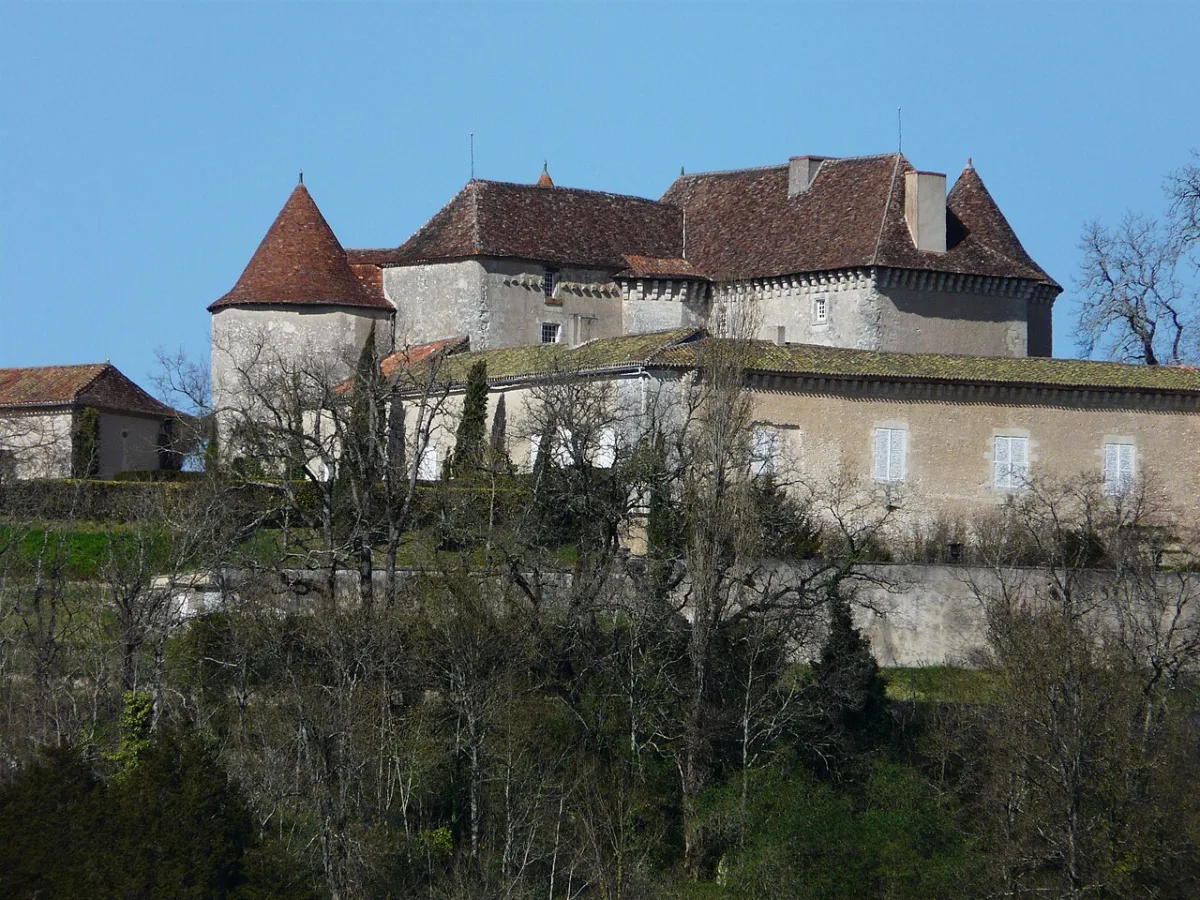 Photo de Château du Puy-Saint-Astier
