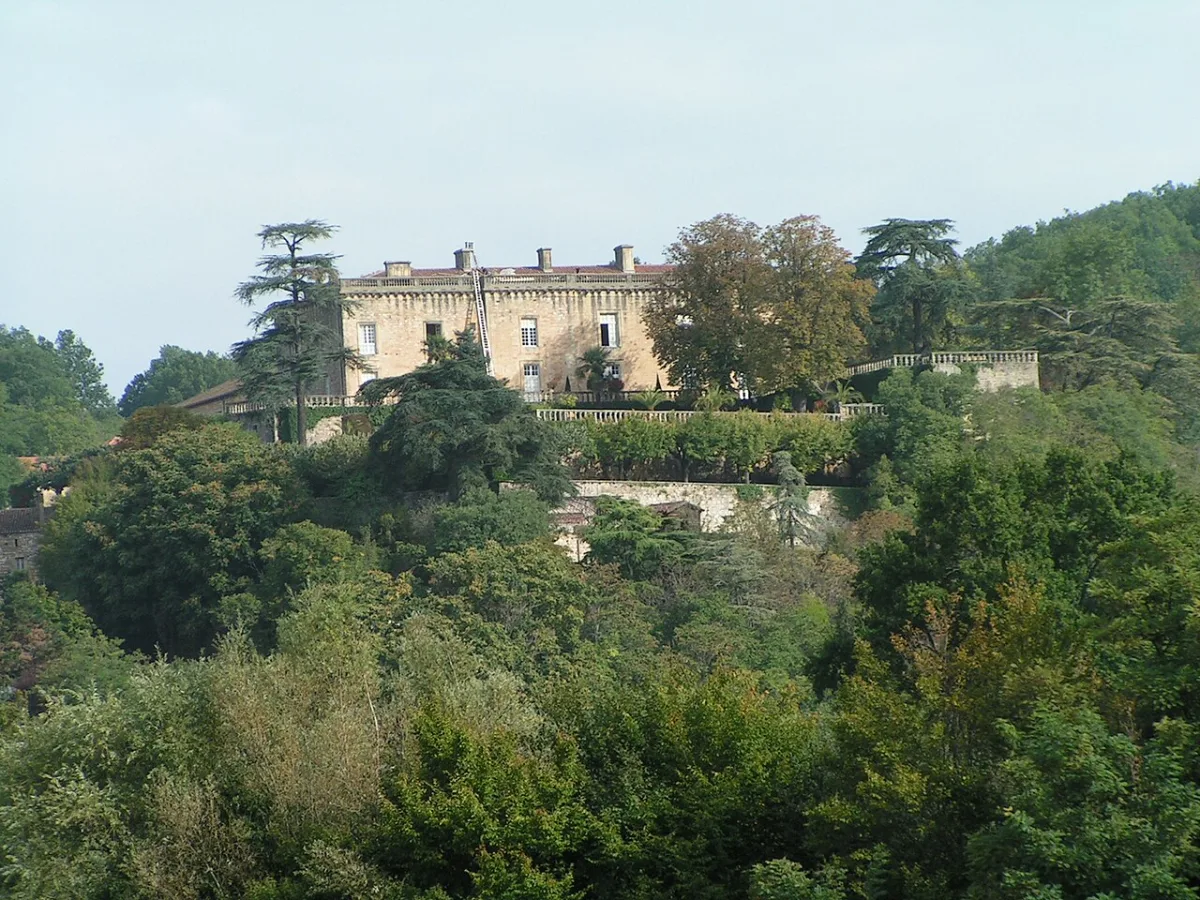 Photo de Château de Fumel