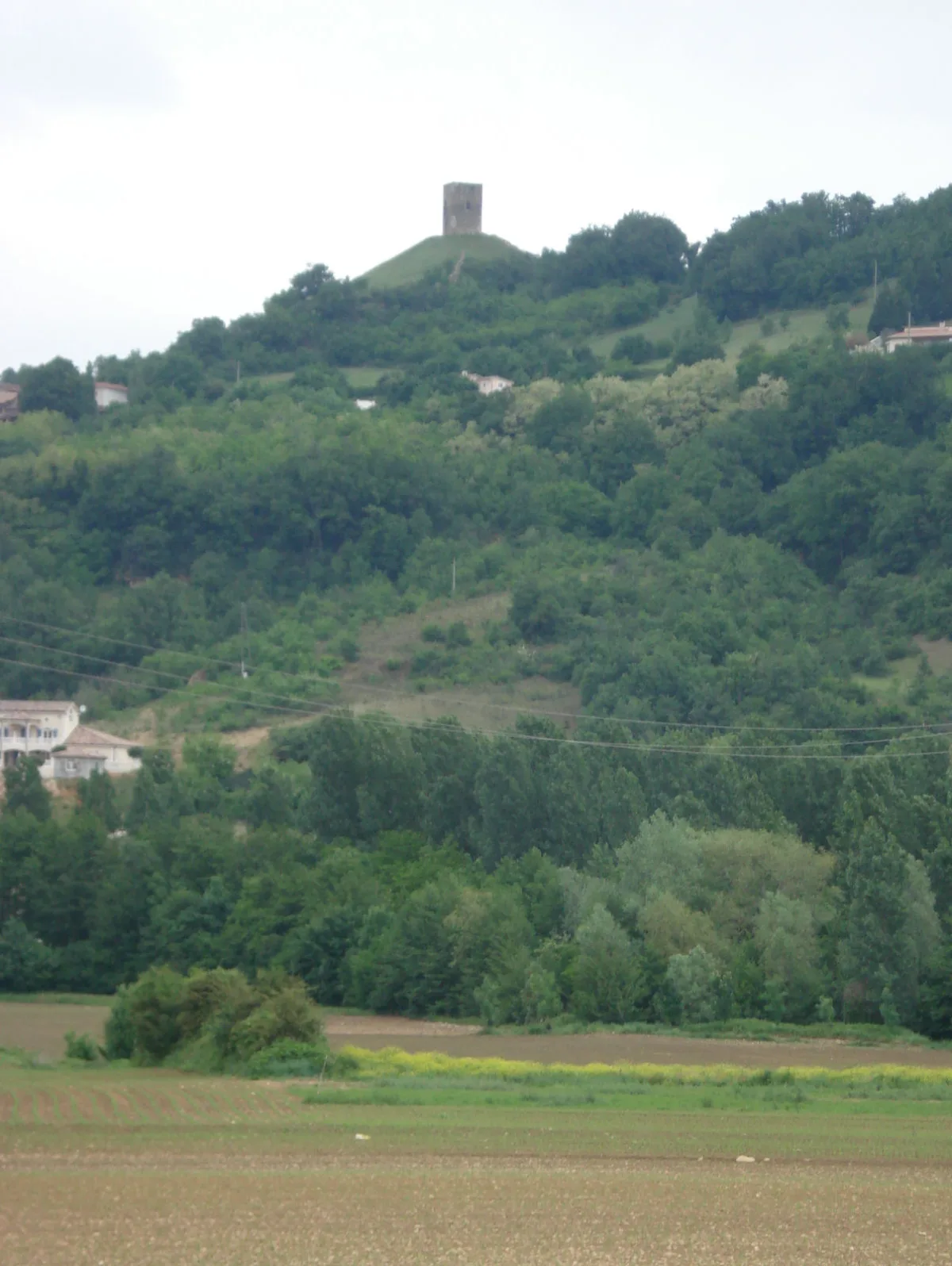Photo de Ruines du Château d'Albon
