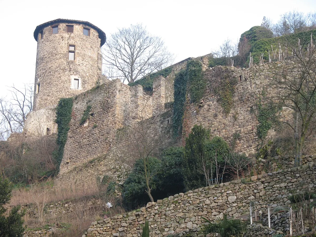 Photo de Château de Condrieu