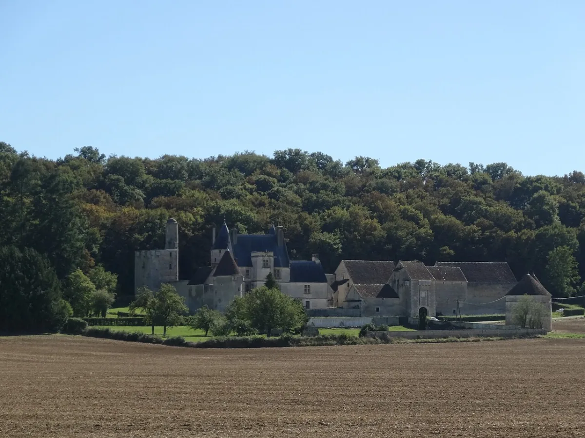 תמונה של Château de Faulin