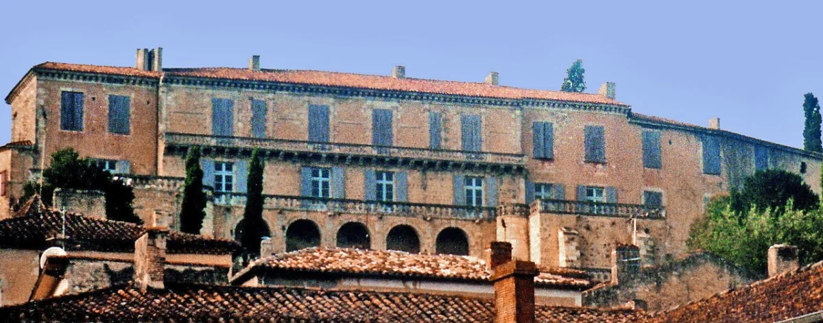 Photo de Château de Poudenas