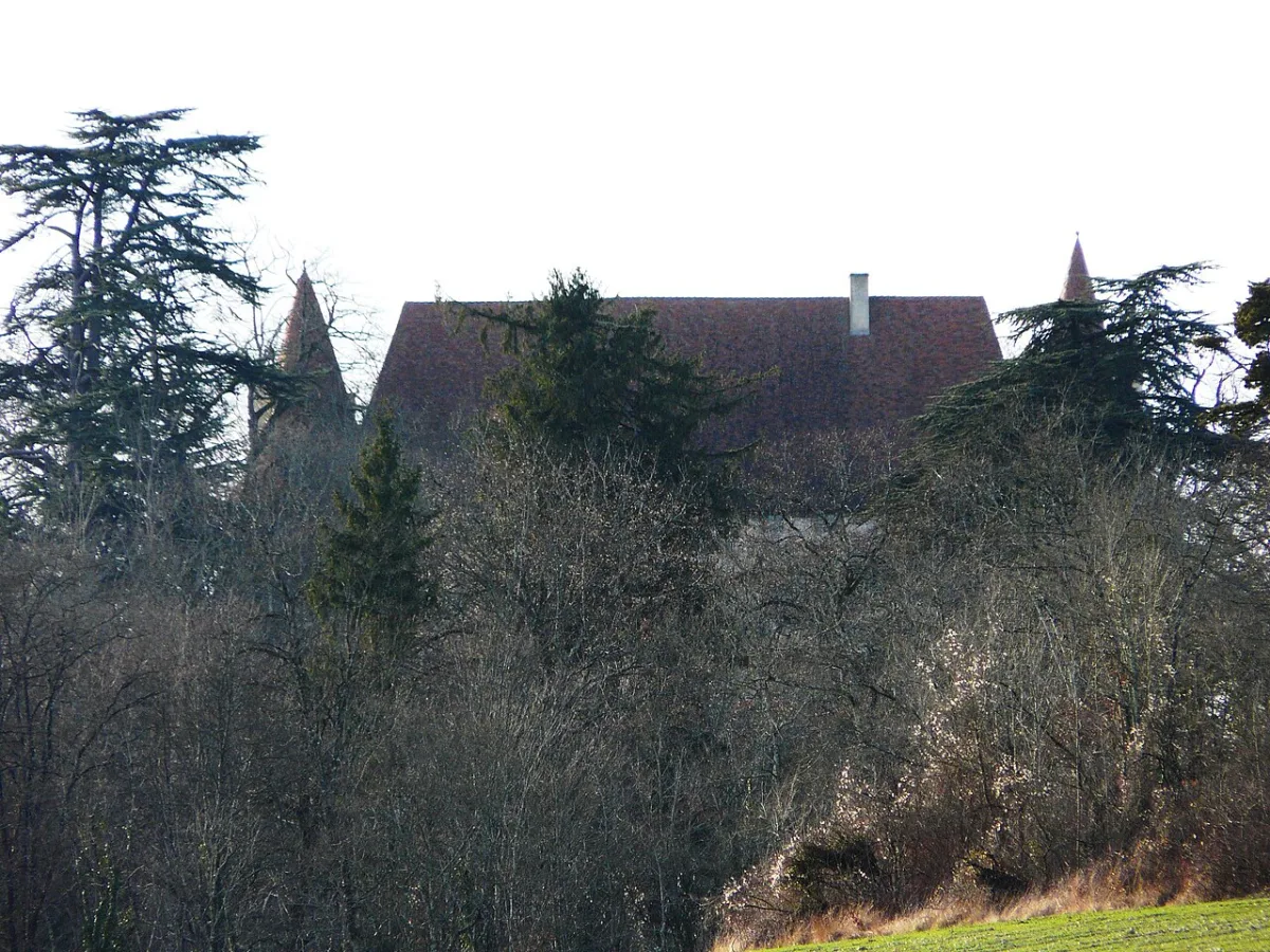 Photo de Château de Puyferrat