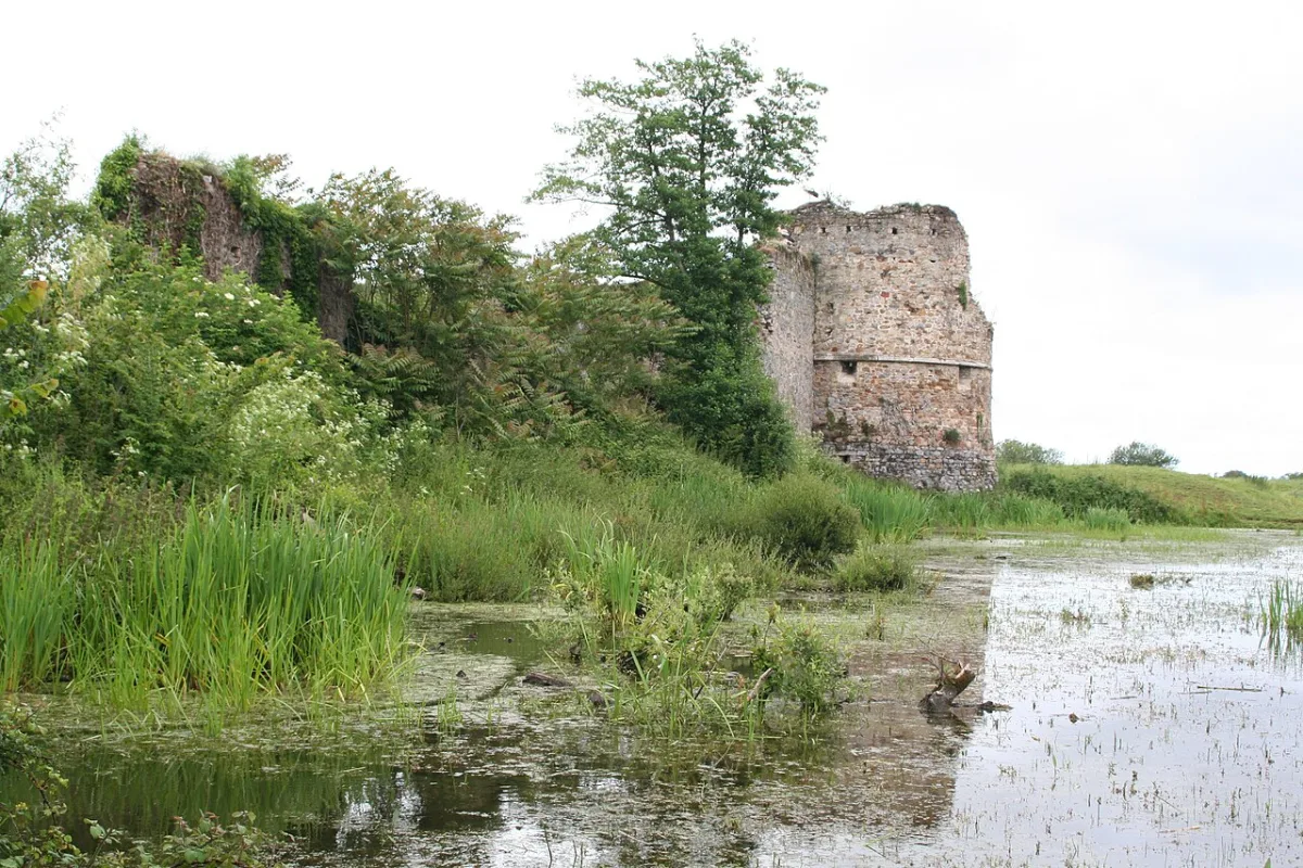 Fotografia de Château de la Rivière