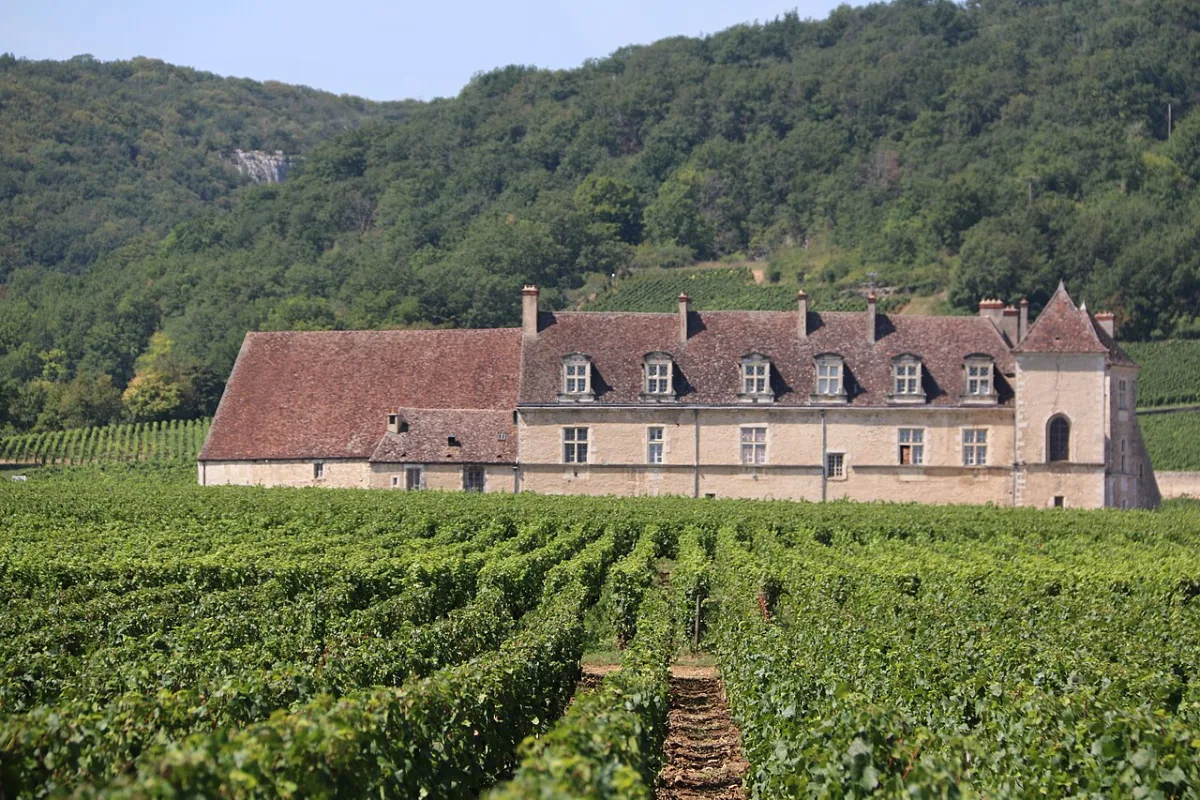 Photo de Château de Clos-Vougeot