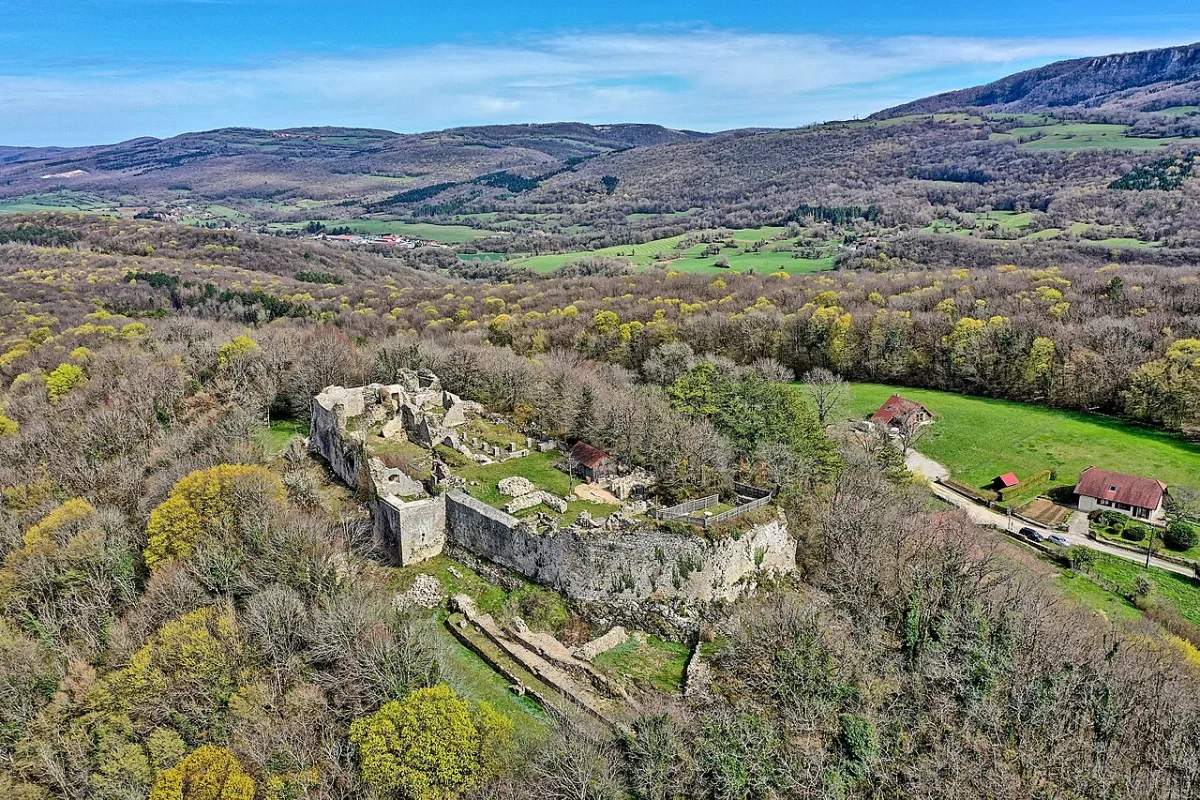 Photo de Château de Vaulgrenant