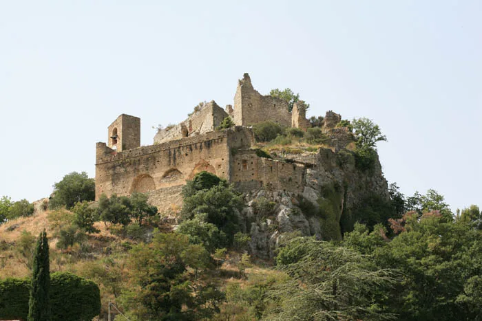 Photo de Château d'Entrechaux