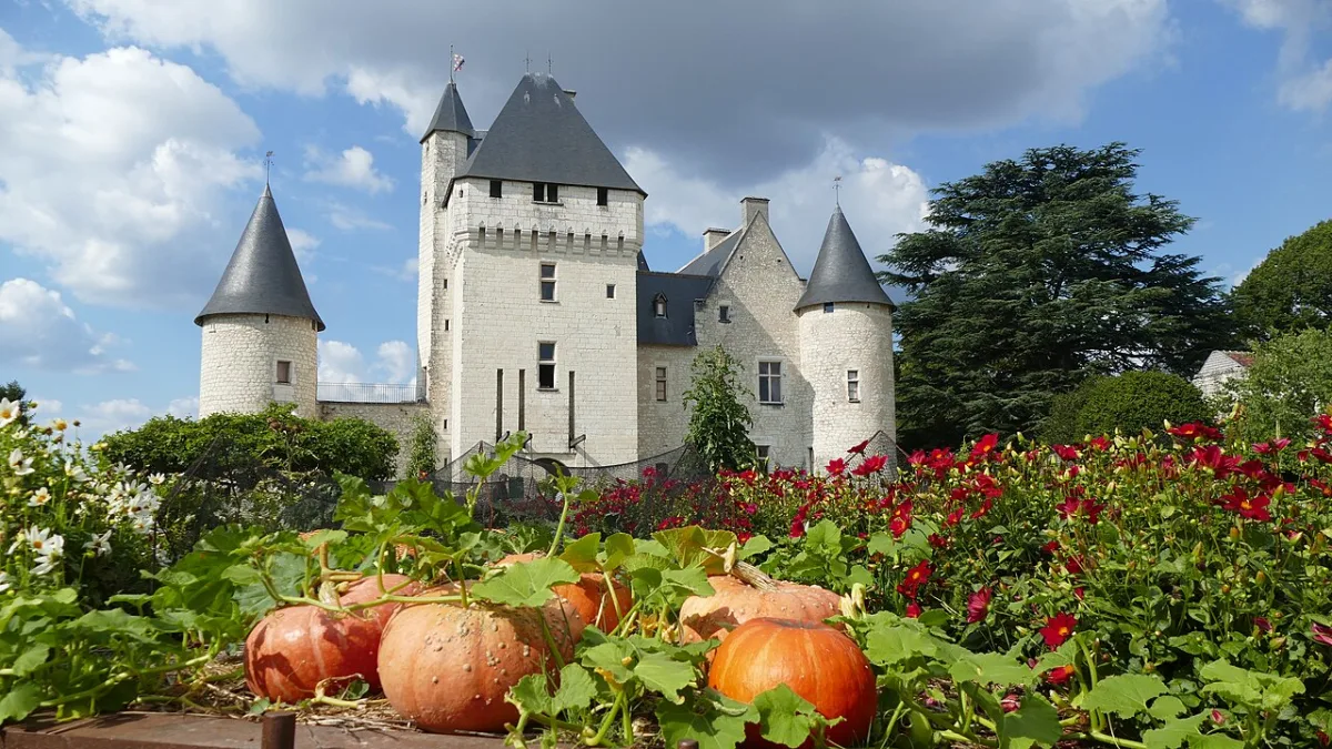Photo de Château du Rivau