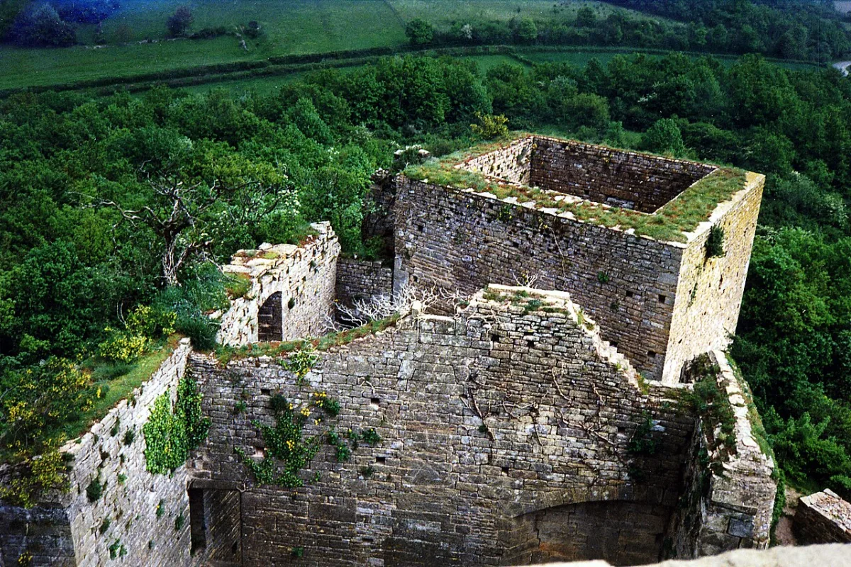 Photo de Château de Brancion